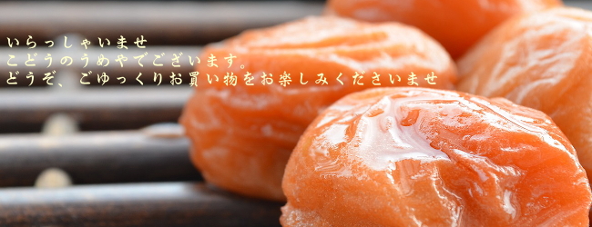 紀州の美味しい梅干し