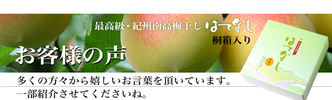 お客様の声