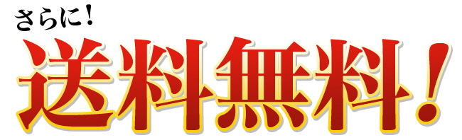 送料無料